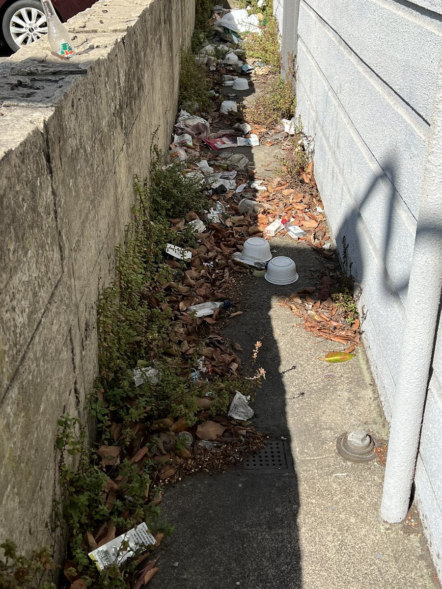 RefuseRefuseSF's tweet photo. Out in the Mission with the @CleanStreets3 crew today. We cleared this side of the wall next to parking lot that’s been trashed for awhile, in addition to about 30+ blocks.

#keepsfclean #keepsmissionclean #refuserefuse #detrashed https://t.co/wtfMW41sFd