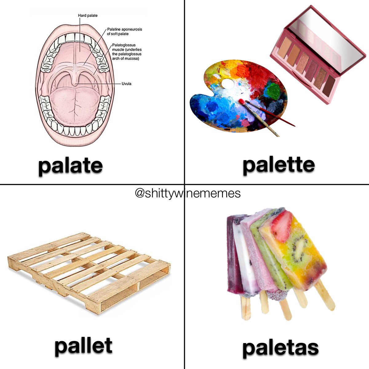 shittywinememes's tweet photo. https://t.co/ttRfBDJyFV
