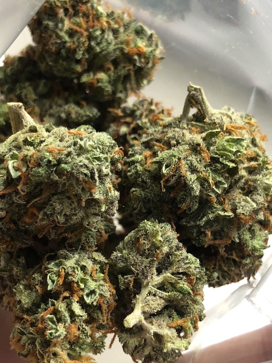 youngxkush's tweet photo. #Phuket #OG #SMOKE #BONG
#BONGPARTY #joint #FATJOINT
#PHUKETCANNABIS #KUSH #WEED
#Cannabis #WEEDPHUKET #SMOKEWEED
#420PHUKET #OGKUSH #GreenInferno
#Stonerday #stoner #HIGH #HIGHLAND
#พันลำ #ดูดเนื้อ #กัญชาภูเก็ต #เร่ #แบะ #เป็ด
#งานโอจีภูเก็ต
#งานดอกภูเก็ต #phuketweed https://t.co/dcER6EzwWg
