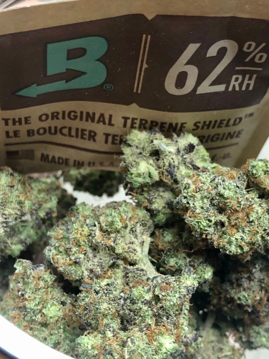 youngxkush's tweet photo. #Phuket #OG #SMOKE #BONG
#BONGPARTY #joint #FATJOINT
#PHUKETCANNABIS #KUSH #WEED
#Cannabis #WEEDPHUKET #SMOKEWEED
#420PHUKET #OGKUSH #GreenInferno
#Stonerday #stoner #HIGH #HIGHLAND
#พันลำ #ดูดเนื้อ #กัญชาภูเก็ต #เร่ #แบะ #เป็ด
#งานโอจีภูเก็ต
#งานดอกภูเก็ต #phuketweed https://t.co/dcER6EzwWg
