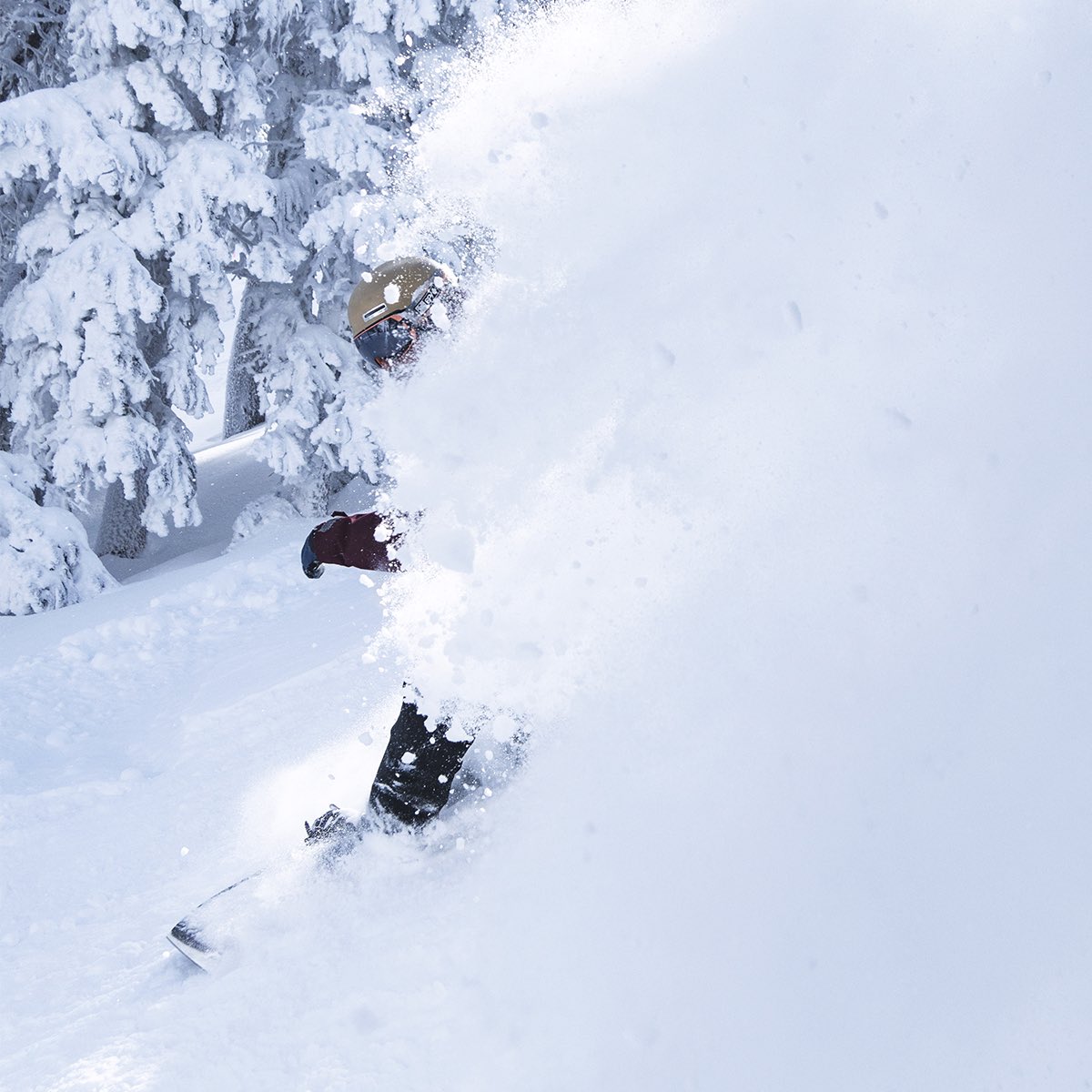 2022/23 Ski Santa Fe Season Passes go on sale September 1, with loyalty pricing available for 2021/22 pass holders. Find the pass for you at skisantafe.com

#skibueno #skisantafe