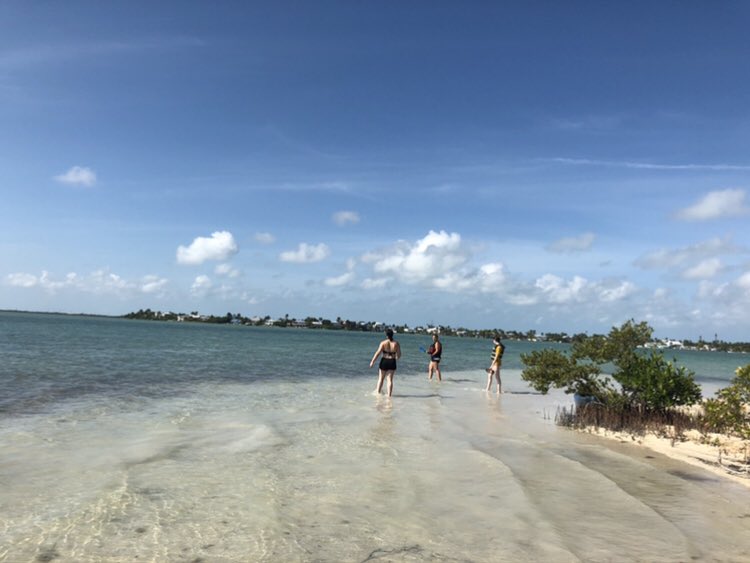 ratherbrunnin's tweet photo. Happy #NationalBeachDay  from my favorite beaches in Key West!! Can’t wait for next week! #keywestbound #conchlife ☀️🌊👙🎣🍻🍹🐓 https://t.co/BSsj1IxzHx