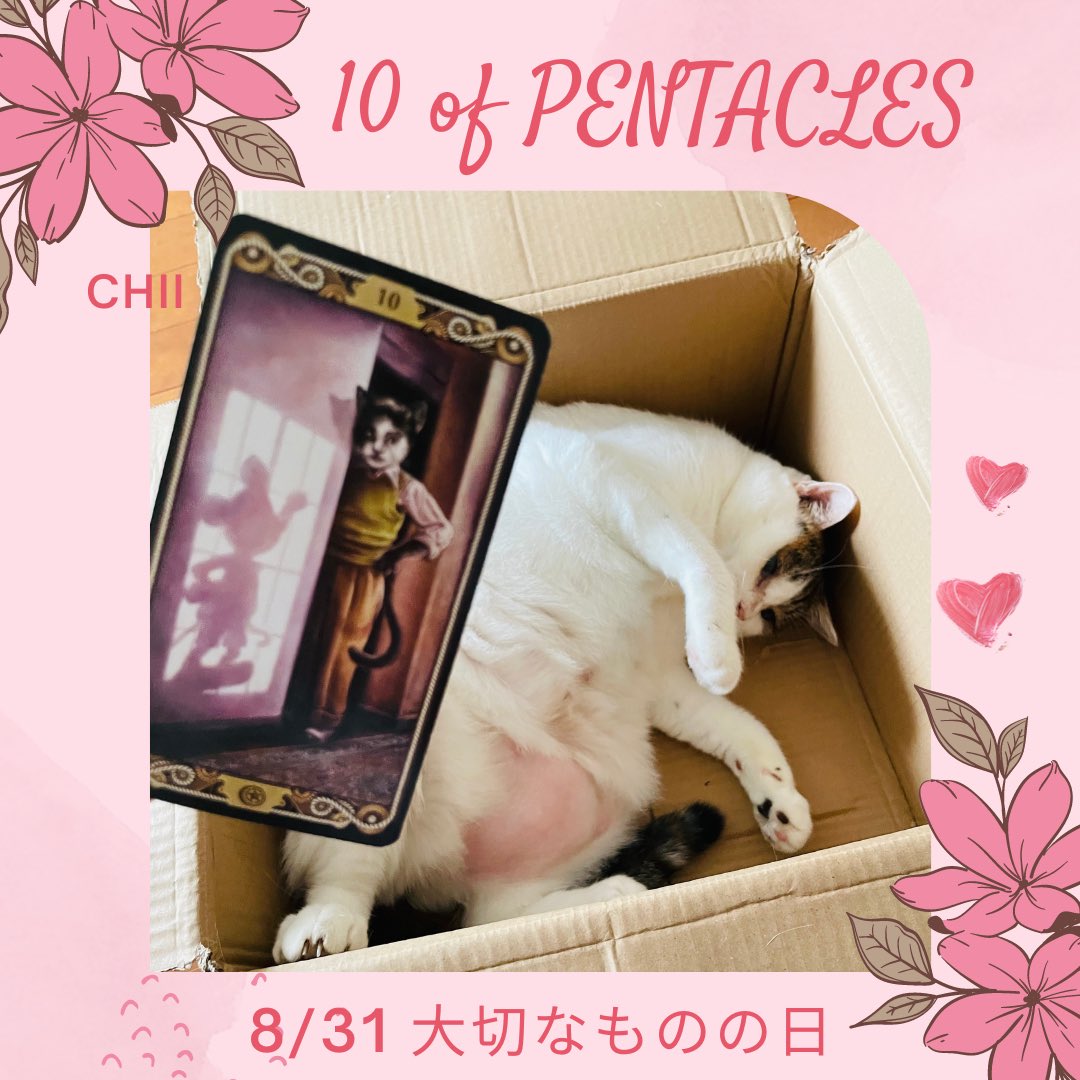 oraclerinko's tweet photo. 8/31大切なものの日✨家族や仲間、信頼と絆、文化や伝統などあなたが日々大切にしていることをあらためて認識し、豊かな気持ちになるでしょう🥰その状態が運気を発展させます⤴️今日はあなたが感じた大切なもの、今後受け継いでいきたいことを書き出してみましょう🤗 #10ofPENTACLES #おなかぽよんニャ https://t.co/xxS9ltEtlZ