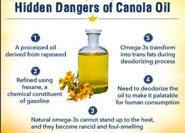 DietHeartNews's tweet image. Canola is genetically-engineered rapeseed. Canada paid U.S. FDA $50 million to have Canola registered, recognized as "safe." Canola must be deodorized at 300 F to get rid of the foul smell. Rapeseed has no history of human consumption. Insects won't eat it.