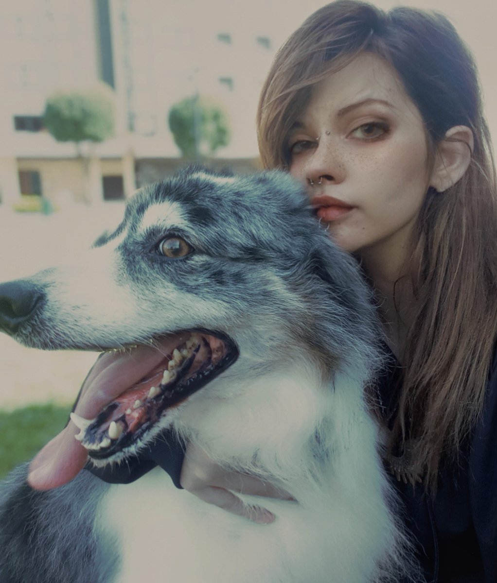 Steamfuck🇵🇸 tweet media