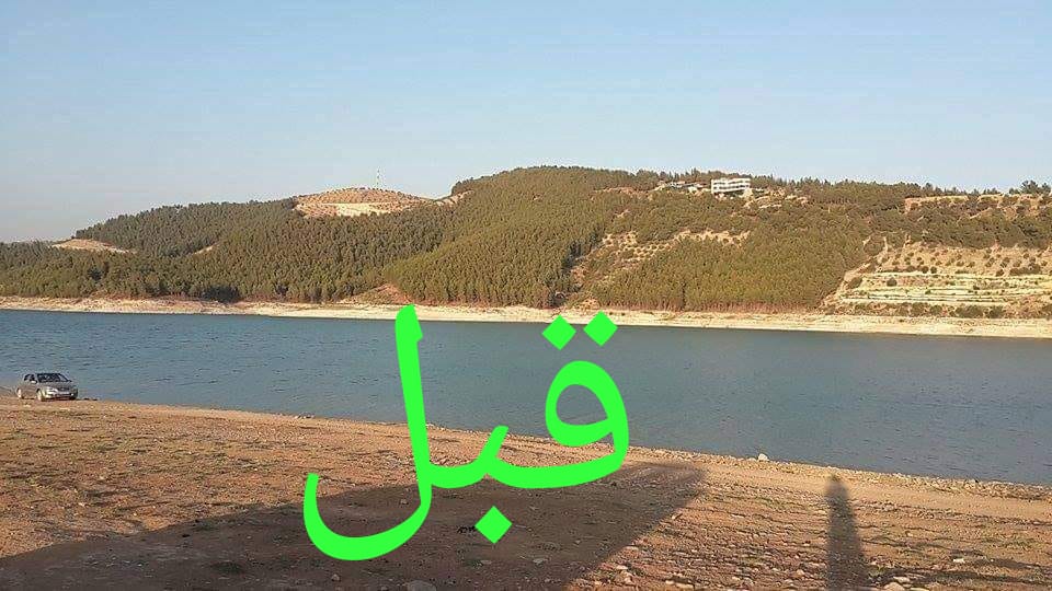 mahmoudalbakor1's tweet photo. #stop_cutting_trees With the protection of the Syrian National Army factions, the photos show workers cutting down trees on the outskirts of Maidanki Lake, Aleppo countryside Despite the issuance of a statement from the local council prohibiting the cutting of trees on 2020. https://t.co/m7mXcwktVM