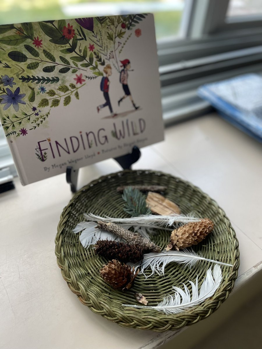 MrsKemski's tweet photo. Ask your child about the “wild” they found outside today. Discussions around collecting fallen items are welcomed into the class for a closer observation. The rest of wild stays outside. #Kindergarteners #outside #findingwild https://t.co/0s8zzQRSsG