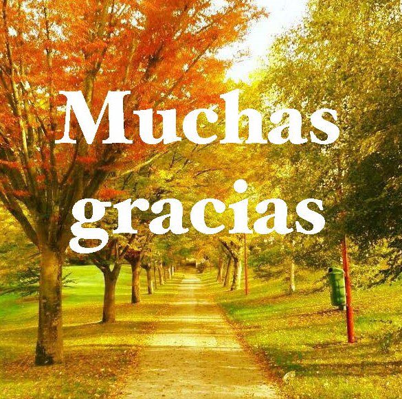 JavierTrigo's tweet photo. Hoy finaliza mi etapa profesional en la @unav  
Me voy con la satisfacción de haber intentado dar lo mejor de mí mismo cada día y agradecido a tantas personas amigas que me han ayudado el camino recorrido. 
@unavdeportes @CEO_unav https://t.co/kwTWaDN02K