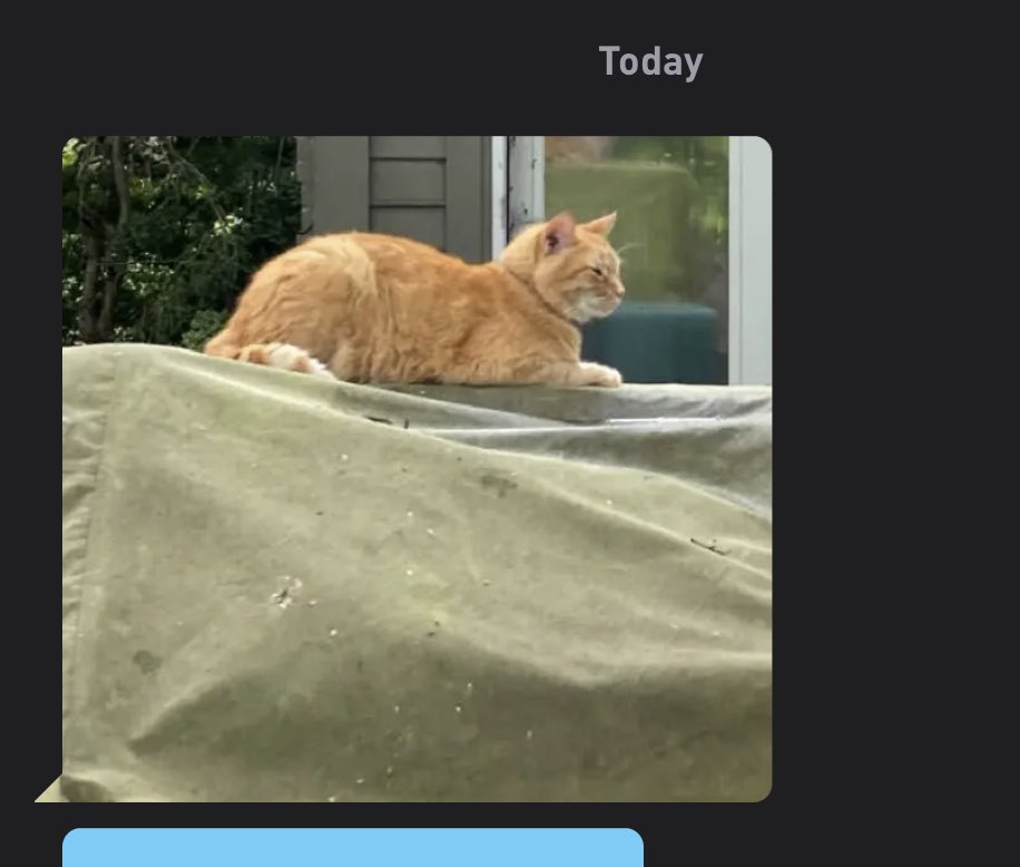 CatsofGrindr's tweet photo. https://t.co/xqevOQsHXb