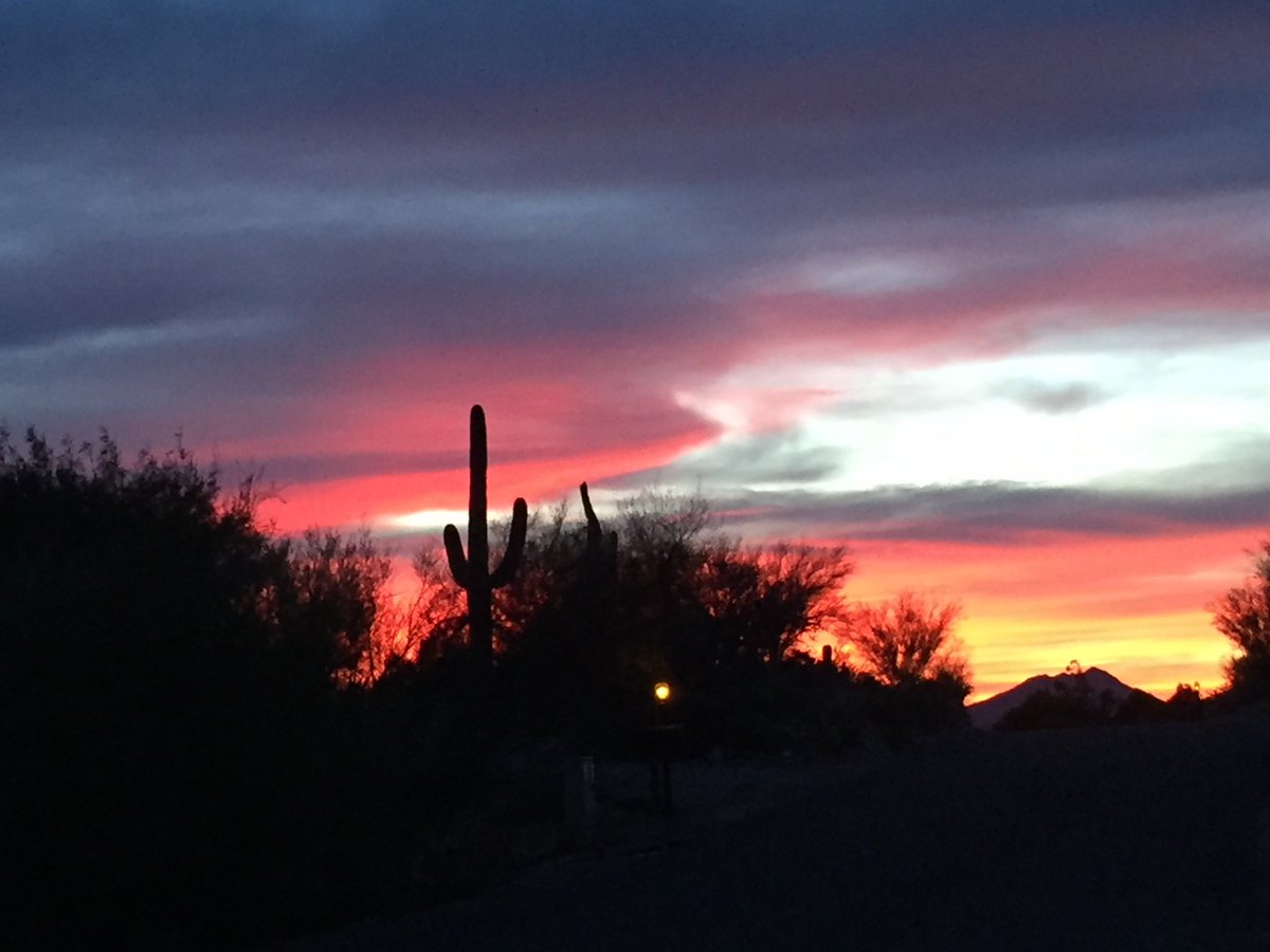 Kathy Chavez tweet media