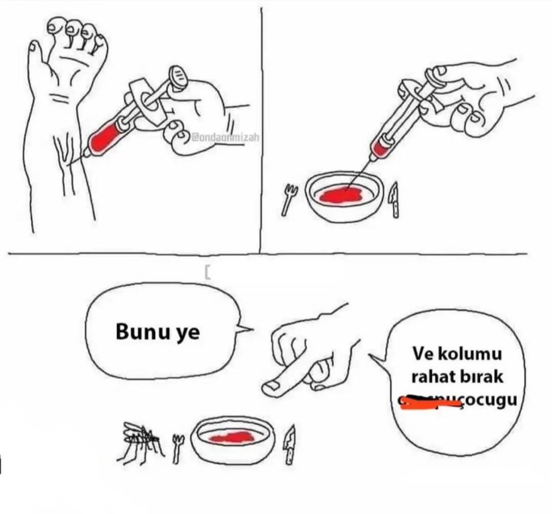 Sineklere uygulamak istediğim tarife