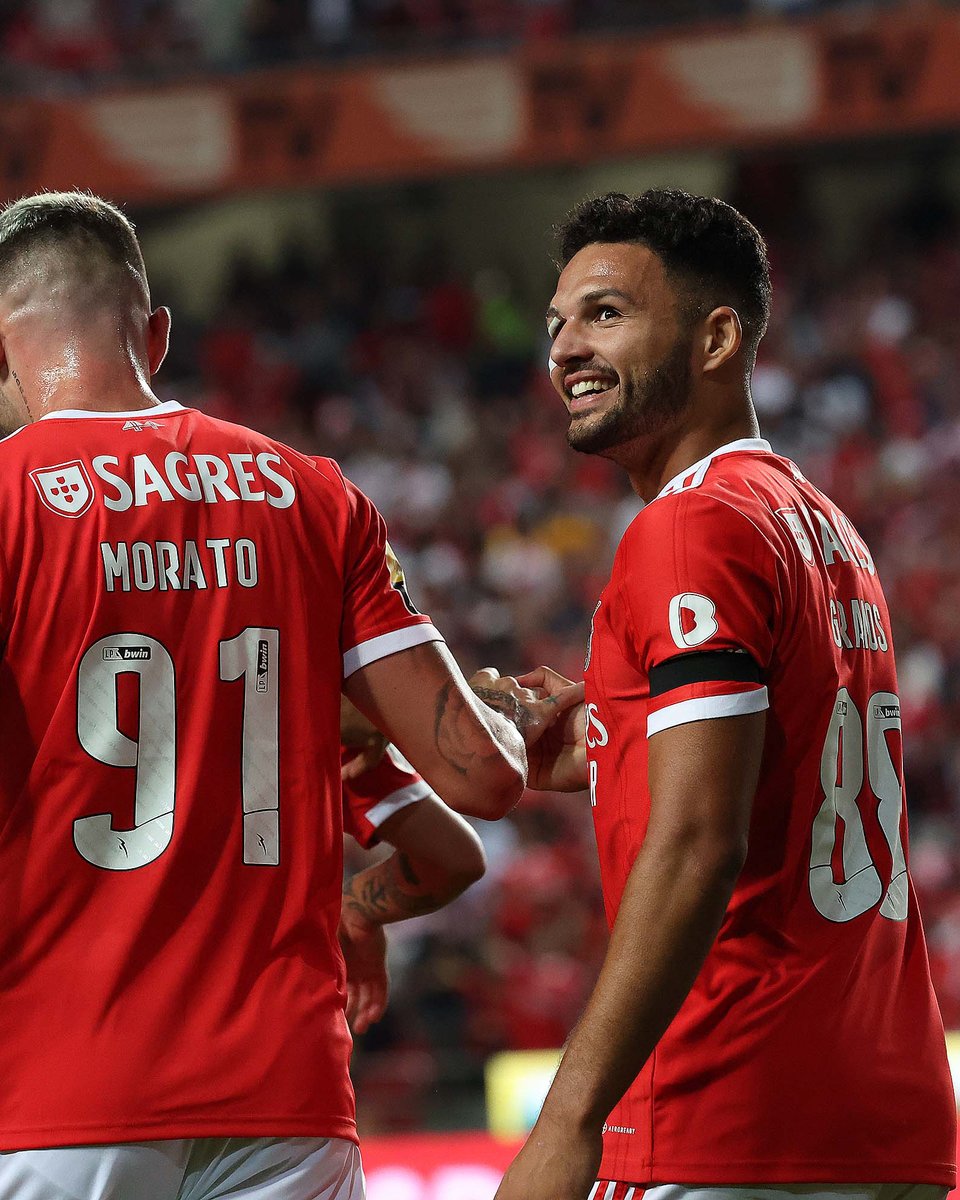 SLBenfica's tweet photo. 📸🦅 #SLBFCPF!
#EuAmoOBenfica #LigaPortugalbwin https://t.co/G6aSm2duh5