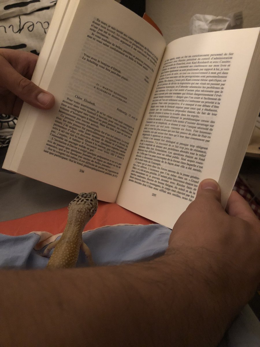 HolderlinOff's tweet photo. J’ai décidé de lire Heidegger à mon fils adoptif — https://t.co/XHOYis4sF1