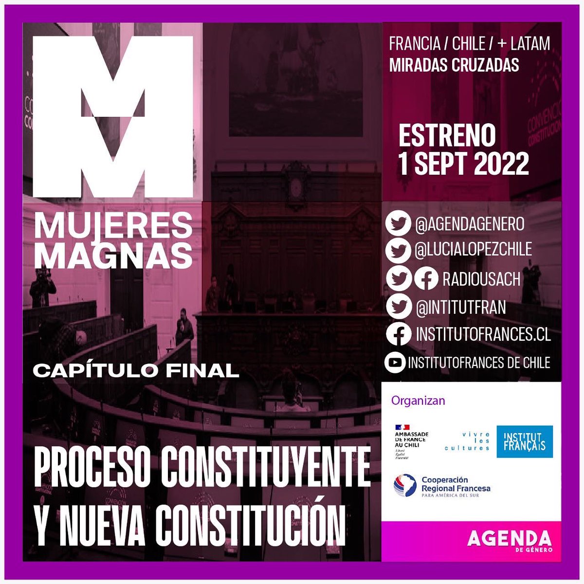 Agenda De Género tweet media