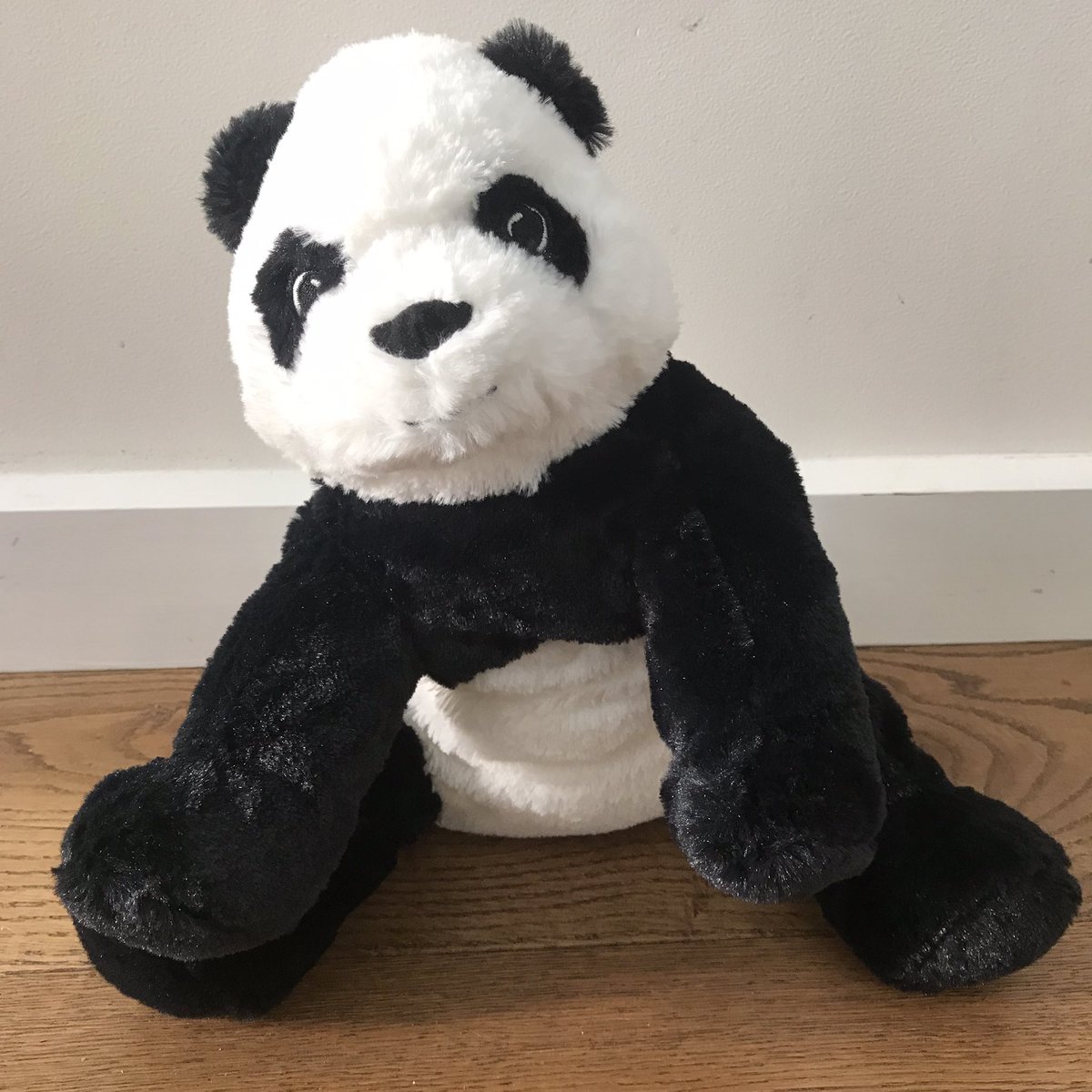 Alex Panda tweet media