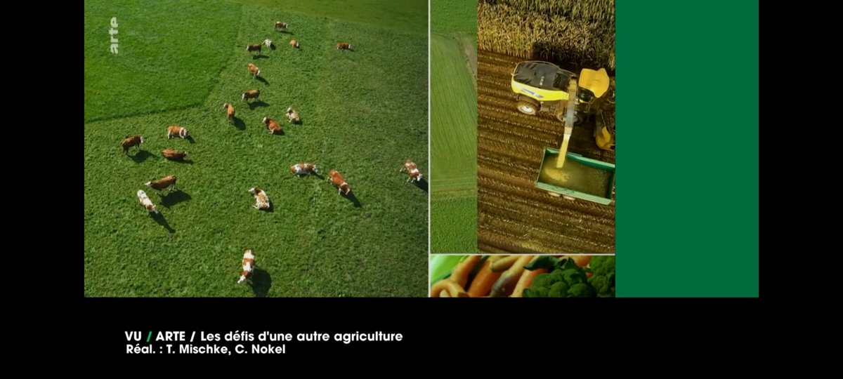 franckbossi's tweet photo. On all earth exploited lands
6% only are vegetables for human consumption
70% for animals farming
24% for everything else but 40% of the 24% is to feed the animals we are farming...
#Earth #pollution #meat #Vegan #saveearth #reducemeat #meatconsumption https://t.co/nsQynKNB1d