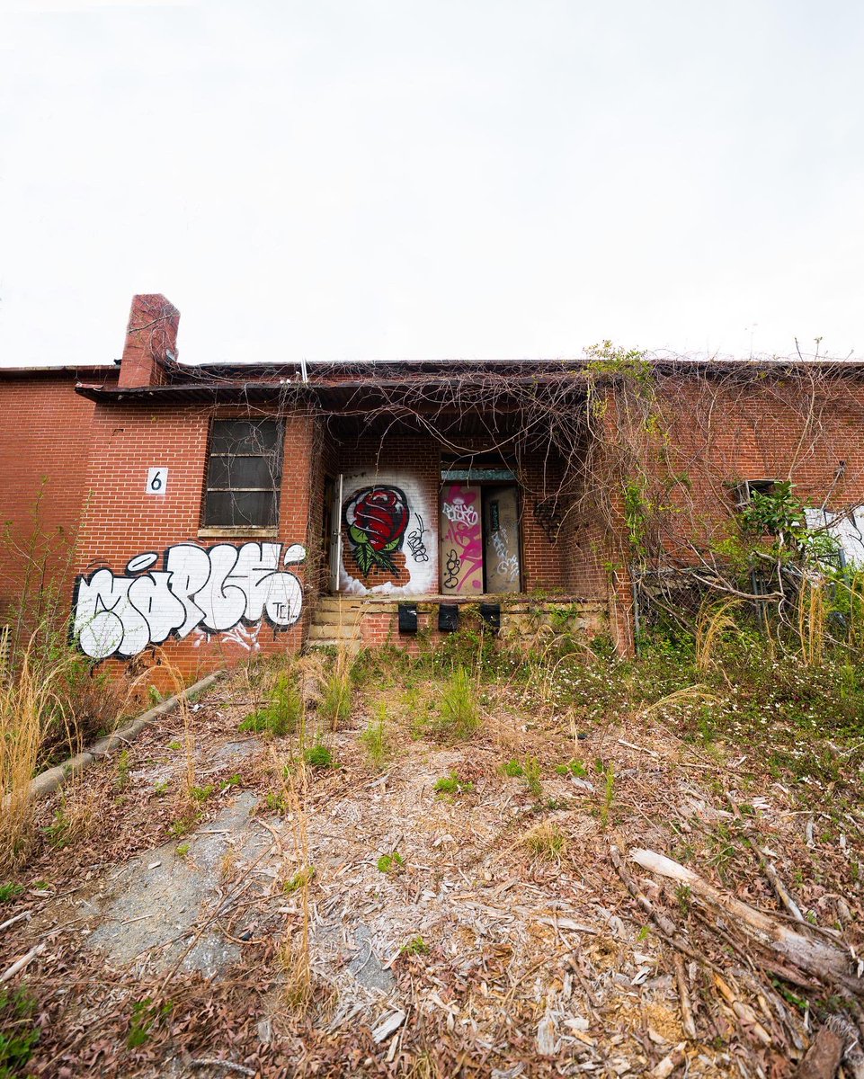 Do you believe in second chances ?