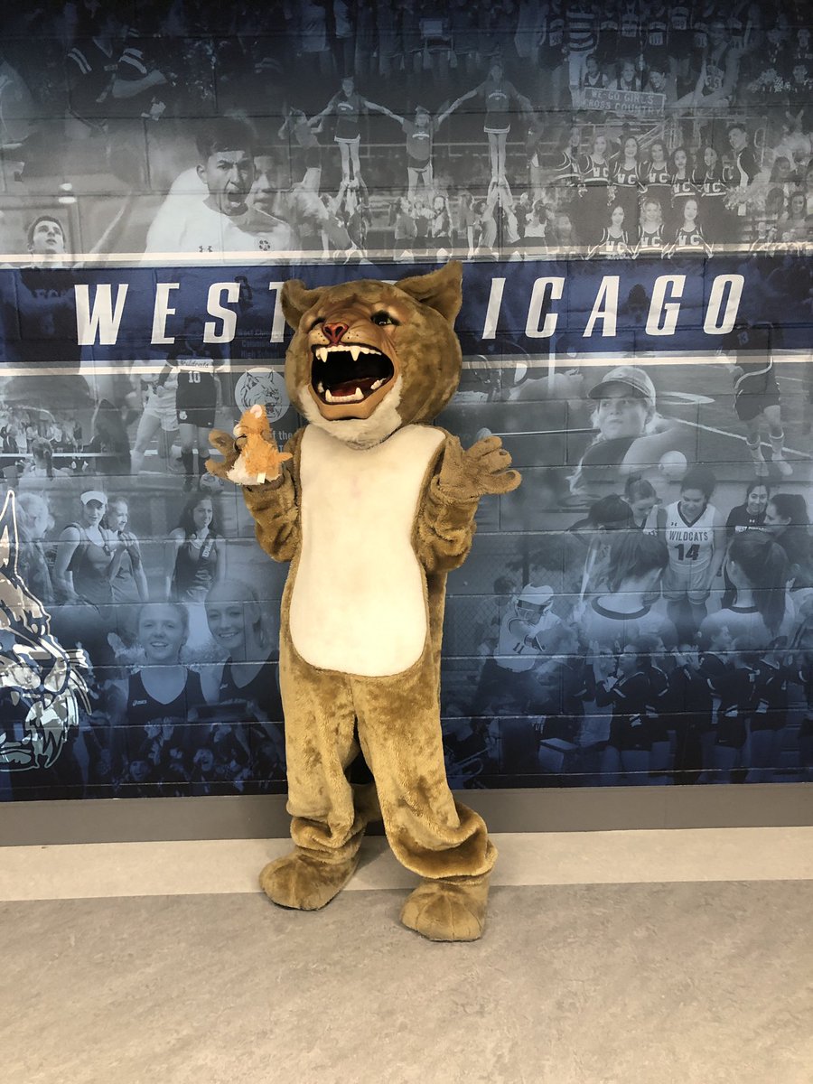 WeGoAthletics's tweet image. JV TAKES IT IN TWOOOOO!! VARSITY IS UP NEXT #WeAreWeGo