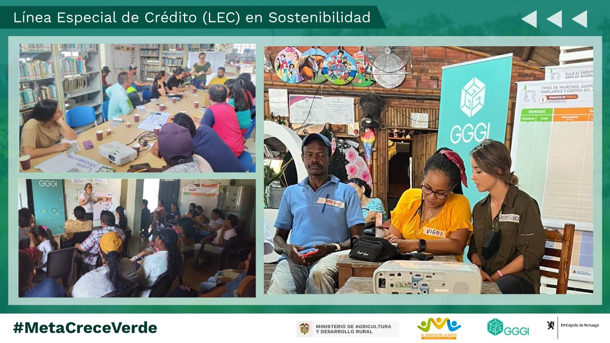 GGGICol's tweet photo. @NoruegaenCOL @GobAntioquia @MinAgricultura @AgriculturaAnt @Ambiente_Ant @gobputumayo @Corpoamazonia1 @BancoAgrario @AlcaldiaAmalfi #MetaCreceVerde | Con @NoruegaenCOL continuamos fortaleciendo los conocimientos en educación financiera y las LEC para el sector agropecuario y #NegociosVerdes de @MinAgricultura.

¡Agradecemos a los 1⃣2⃣6⃣ participantes de los Mcpios. de Puerto Rico, La Macarena y Vistahermosa! https://t.co/Pskmg1zh2O
