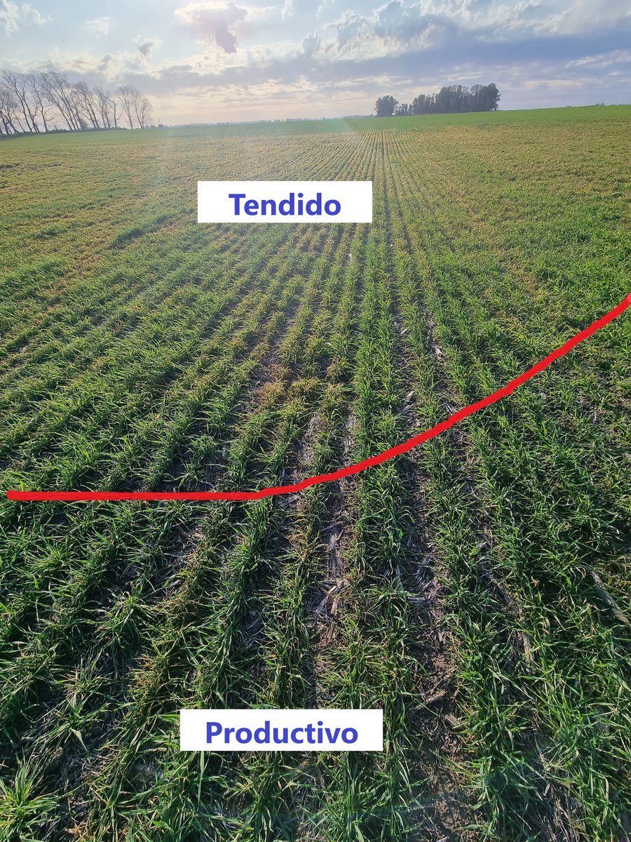 Ezequiel Odello tweet media