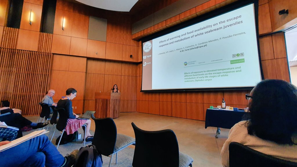 AmfariaLab's tweet photo. In the morning Ana Faria presented some of lab's work with #whiteseabream juveniles and #metabolism at the @LFC45SANDIEGO #larvalfish #larvalmetabolism. This would have not been possible without @FLAD_PT grant to fly to the conference. https://t.co/OroPPSljCt