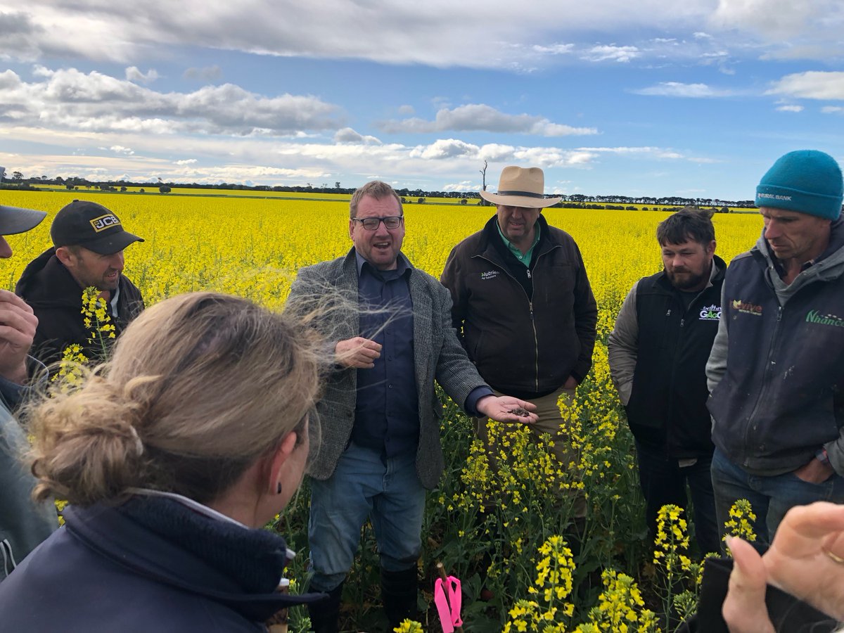 agnovatech's tweet photo. A good turn out yesterday for the Gippsland Slug Management Workshop #metarexinov #ironmaxpro #grdc https://t.co/A5BNDFJIzA