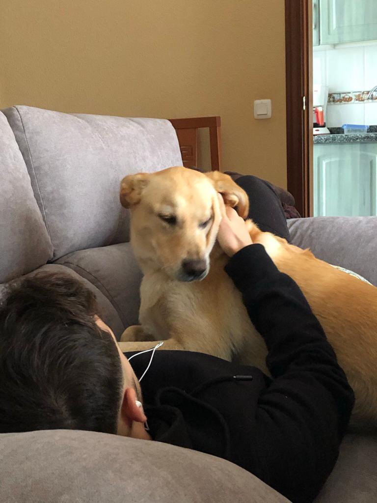 JoseAngelMN96's tweet photo. Mil gracias a la vida por ponerte en mi camino y, sobre todo, gracias a ti por haberme enseñado tanto.

Ojalá supieras la falta que me haces y lo mucho que te echo de menos.

Eres uno de mis grandes amores.

Te quiero mucho, mi compañerita. 🥹♥️ https://t.co/8BKQ1iXdQU