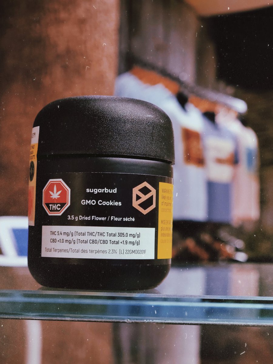 'GMO Cookies' by @sugarbudcannabis is sitting at 30.5% THC with a delicious 2.3% Terps 🤘

🧄🍄🧅🍪

🏃‍♂️ Catch it if you can!

#gmocookies #sugarbud #hamont #craftcannabis #ontariocannabis #smokeweedeveryday #supportlocal #treehousecannabisco