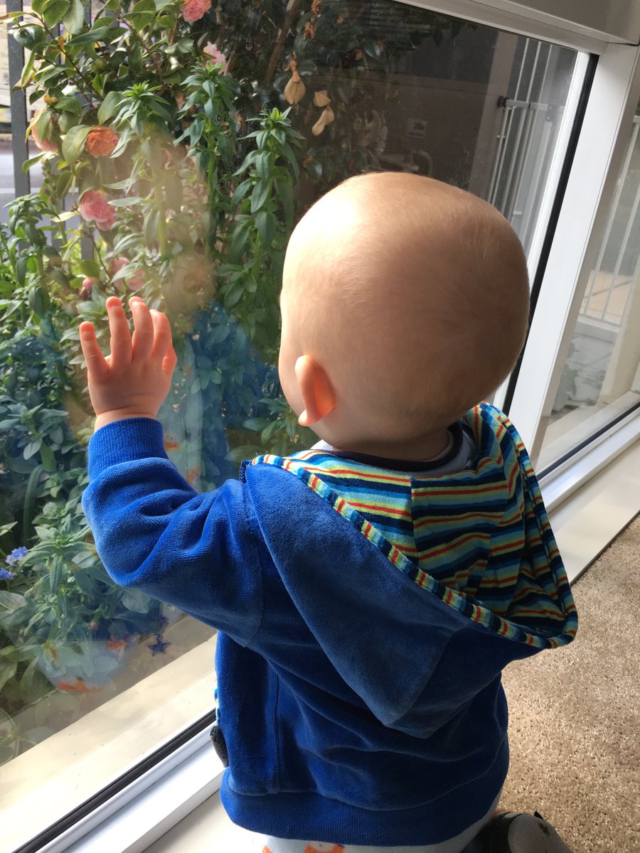 Kathy Cologon (@cologonkathy) on Twitter photo 