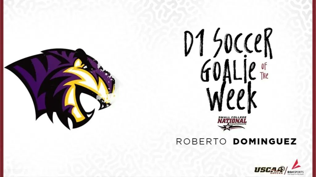 USCAA's tweet photo. D1 Soccer Players of the Week are here! The all the stats at https://t.co/DUVsC9j5fD https://t.co/SaOvf1v1O6