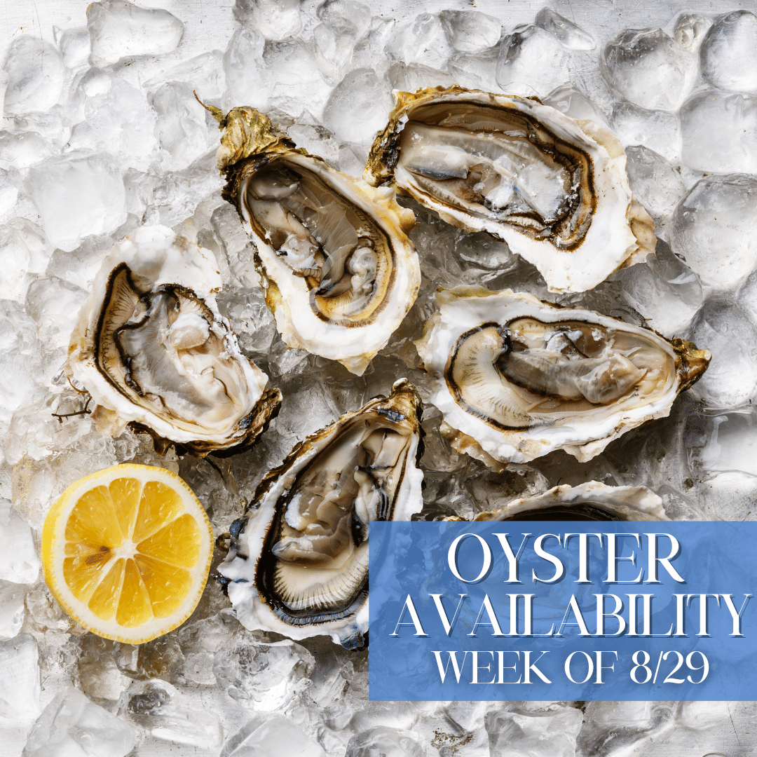 jetfreshchefs's tweet photo. As always, we've got oysters for ya, chef! 🦪 🌟  Call your orders in directly to us at 602-499-3750 or email sales@jetfresh.net to inquire directly. 

#cheflife #chef #localaz #phx #scottsdale https://t.co/SZ2vctVisB