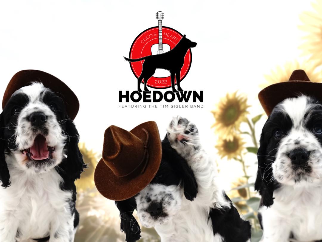 Coco's Heart Dog Rescue tweet media