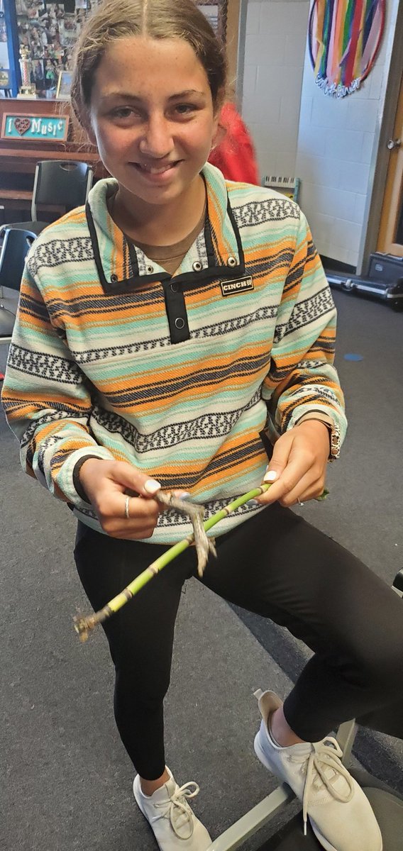 NENmusicians's tweet photo. Part 2 of 7th grade music and their Found instruments 1. Bamboo scrape (i think???) 2. Coconut 3. Decap 4. Banger 

The winner of the most creative was..... https://t.co/7GGjemGO28