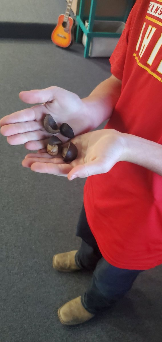 NENmusicians's tweet photo. Part 2 of 7th grade music and their Found instruments 1. Bamboo scrape (i think???) 2. Coconut 3. Decap 4. Banger 

The winner of the most creative was..... https://t.co/7GGjemGO28