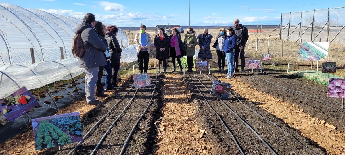 MinagriMagallan's tweet photo. 🌱Ministro de Agricultura @tvalenzuelavt llega a @Inia_Kampenaike a conocer el trabajo que se desarrolla en pro de la soberanía,sustentabilidad y seguridad alimentaria,junto a la @DPRMagallanes y las Seremis de Agricultura,Economía, Bienes Nacionales, del Trabajo y director Inia. https://t.co/ce8NqK7JeG