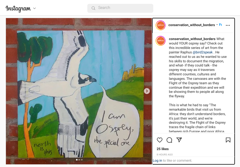 C_no_borders's tweet photo. Head over to @instagram to check out this stunning #birdart from #Raphus #bird2speak. We love how people are connecting to the #FOTO expedition, coming up with creative ways to tell the story, DM us with your creative ideas #TogetherWeFly #FlightOfheOsprey https://t.co/a3TNTikhMA https://t.co/KKs7UPiHHK
