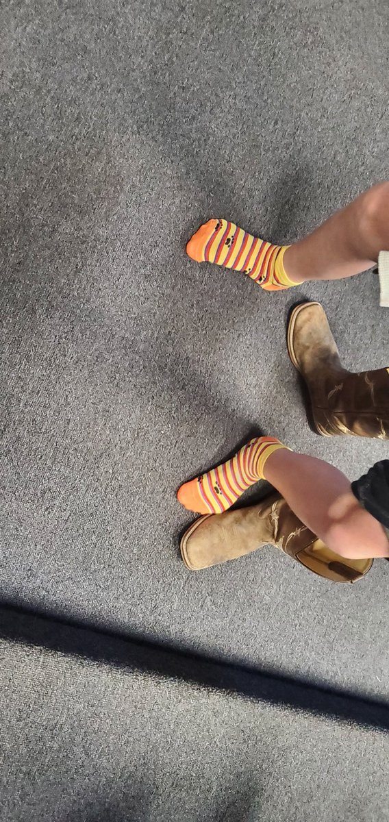 NENmusicians's tweet photo. The COCONUT!! the prize were these crazy socks! https://t.co/kXj0a7p0dW