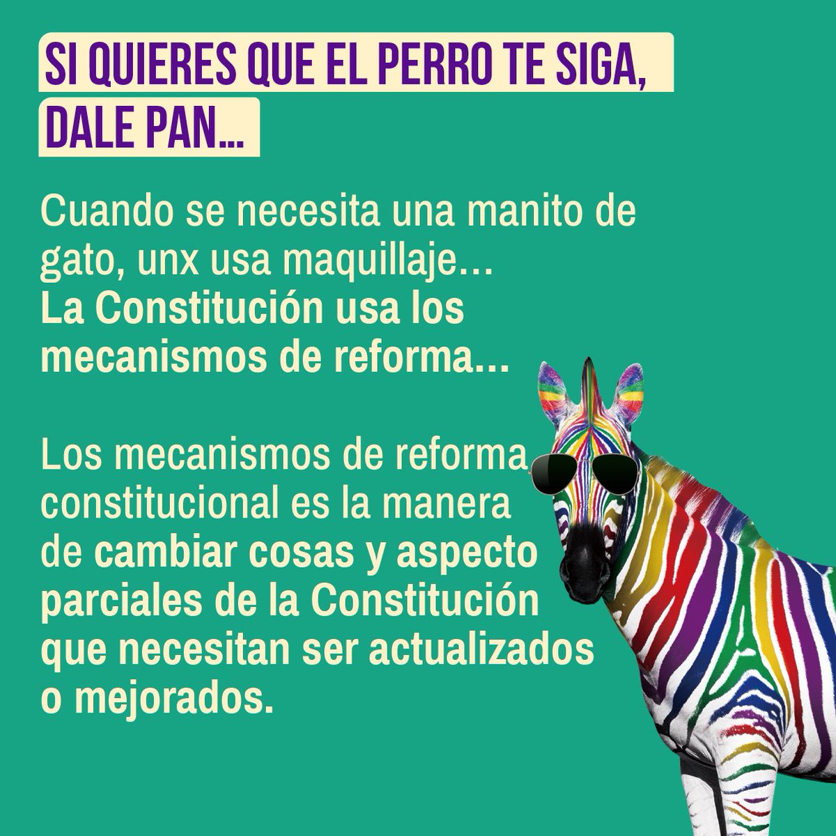 ConstiEnCorta's tweet photo. Esa manito de gato... 💅🤳 https://t.co/v0nXFs0tN4