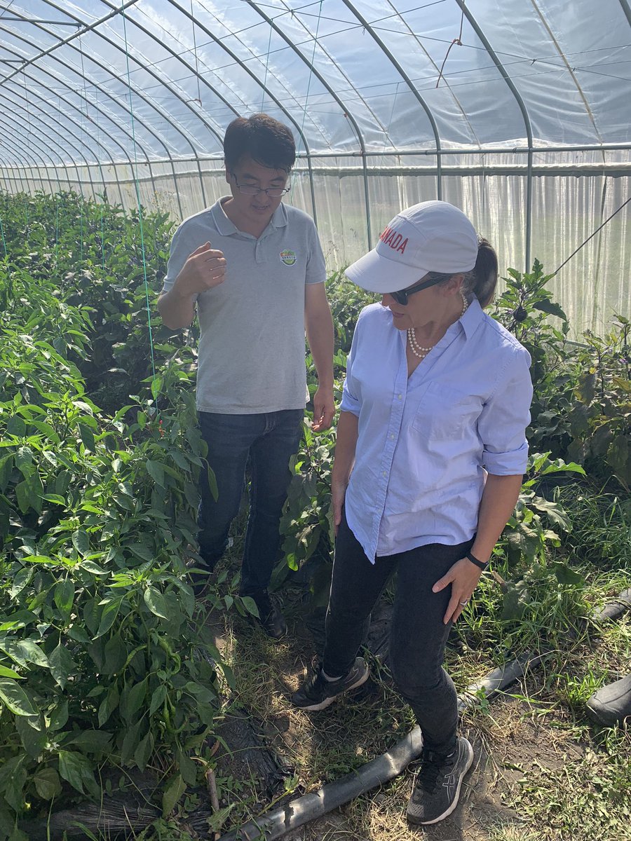 cafreeland's tweet photo. Jianyi and his family moved to Canada from China, and here at FreshPal Farms in Olds, Alberta, they’re helping to grow the food that Canadians need.

A really wonderful and inspiring visit with them today. https://t.co/ZliGtKnE8L