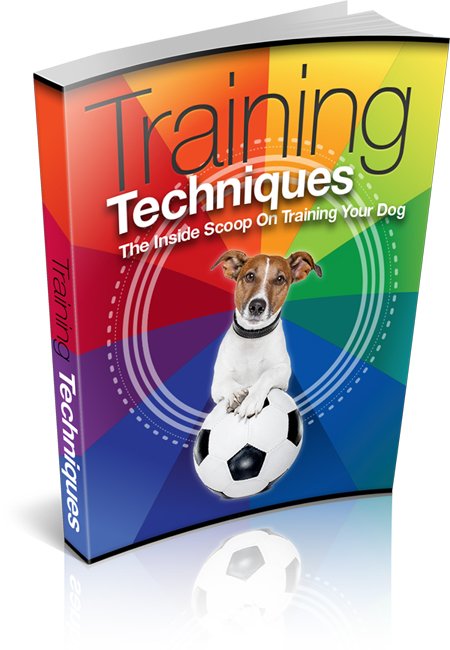 naa_roto's tweet photo. FREE EBOOK 🎁
Positive and Effective Online Dog
 training techniques is proud to provide the best dog training online. We are committed to supplying our clients with modern, positive, science-based and effective training methods. 
Download Your free ebook
https://t.co/YqYu8H0qzX https://t.co/U7RXOsGMfl
