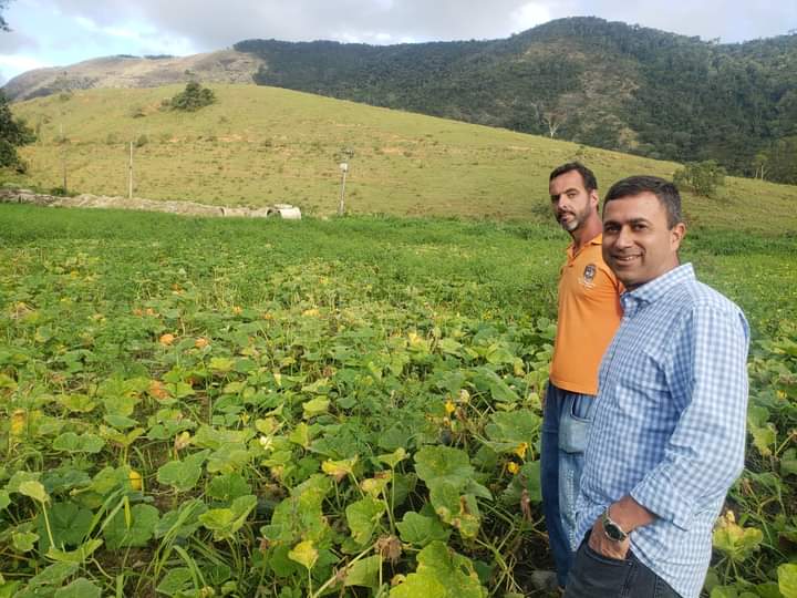 carolino_julio's tweet photo. Estive na Fazenda Pública no Espraiado, vendo de perto as abóboras crescendo! Maricá, bondosa terra! Teremos fartura!
@MaricaPref @Fabianohorta_ #SECAPP https://t.co/d5j8xSkEOO