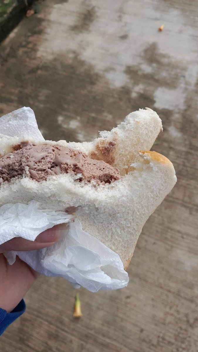 ice cream sandwich (on white bread)