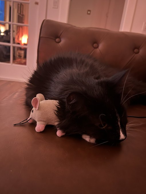 He is worth 1000 of you. https://t.co/sDZqhPgs6j