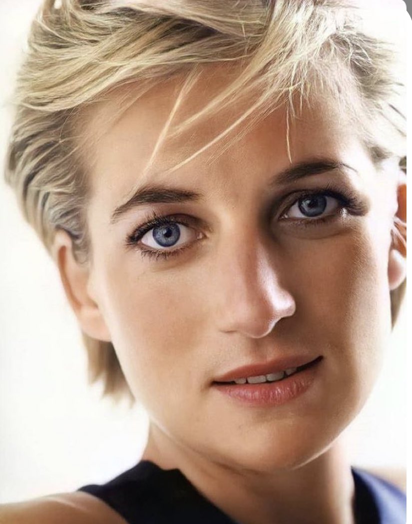 CambridgeCrown's tweet photo. Remembering Princess Diana today. The Queen of hearts,forever young &amp; beautiful ♥️ 
#PrincessDiana https://t.co/9VYMwjvIZn