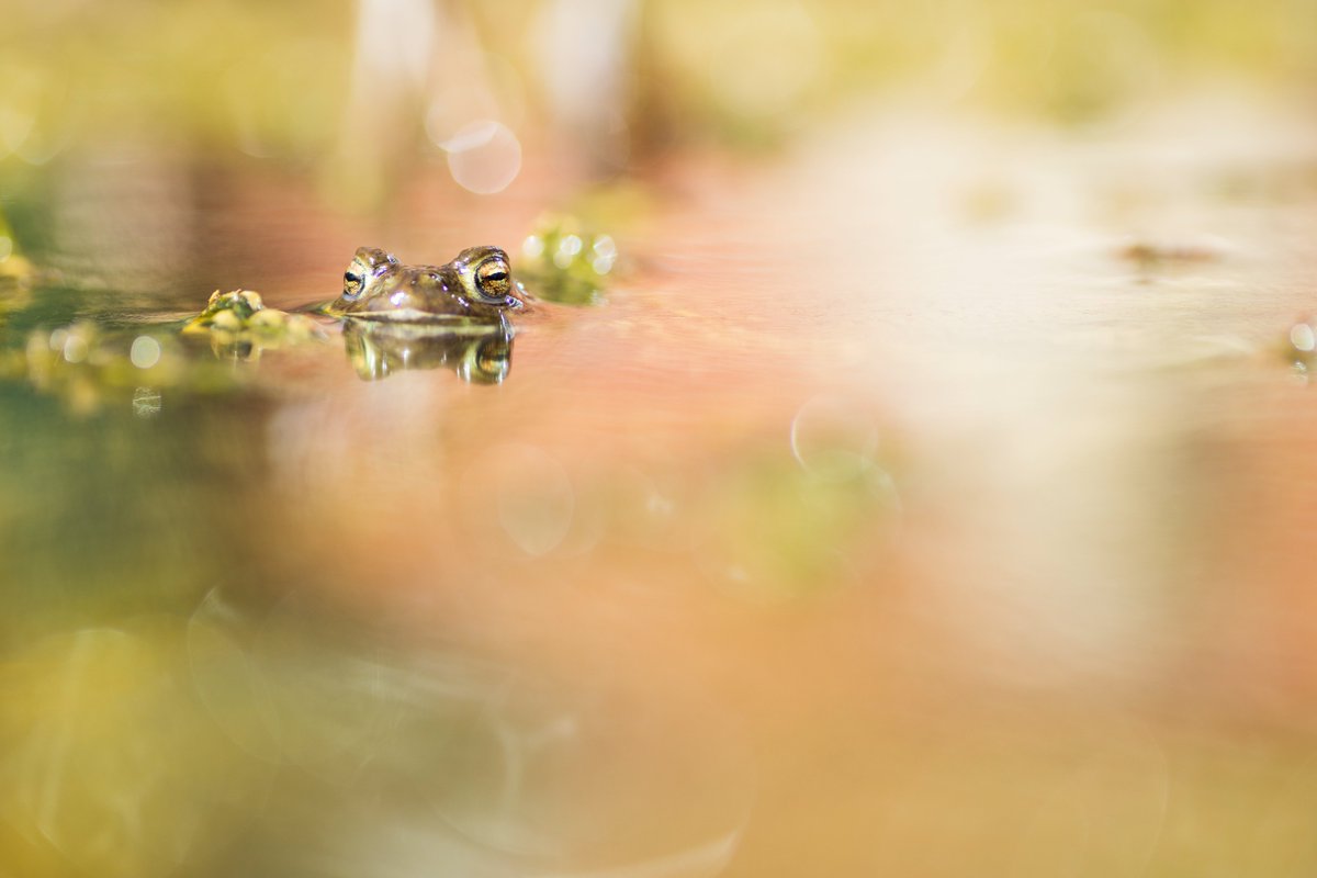 Girls Who Click tweet media