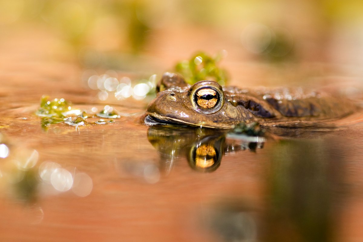 Girls Who Click tweet media