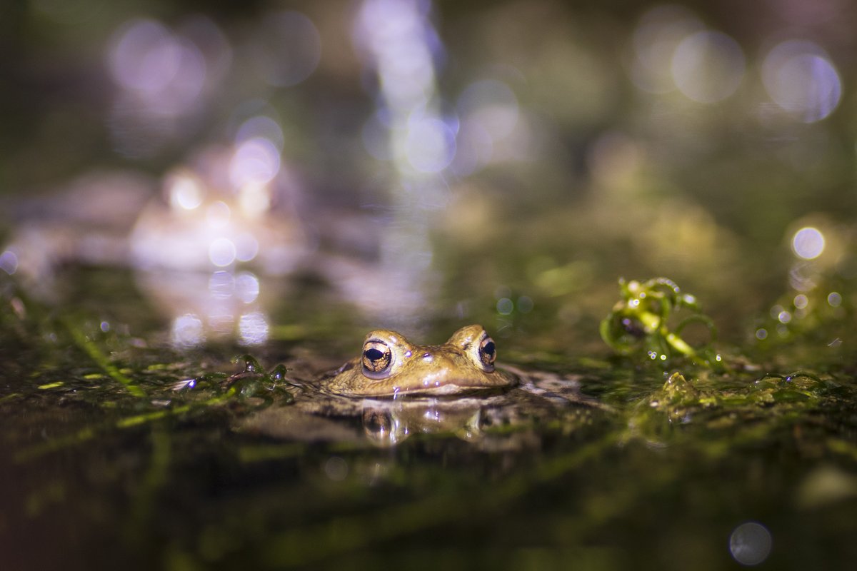 Girls Who Click tweet media