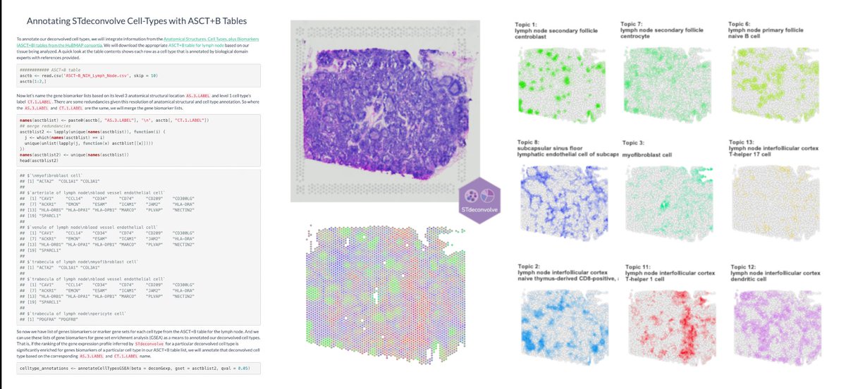 JEFworks's tweet photo. In this blog post, I perform reference-free deconvolution of #spatialtranscriptomics data w/ STdeconvolve + annotate deconvolved cell types using curated marker genes sets from ASCT+B Tables @_hubmap: https://t.co/2Rt8tPvFch

#RStats #Bioinformatics #dataanalysis #codetutorials https://t.co/SotjIlntu9