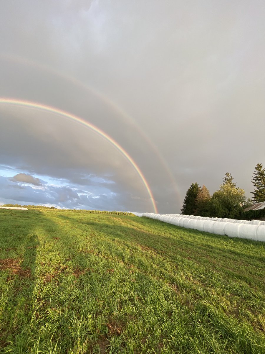 michael sharpe tweet media