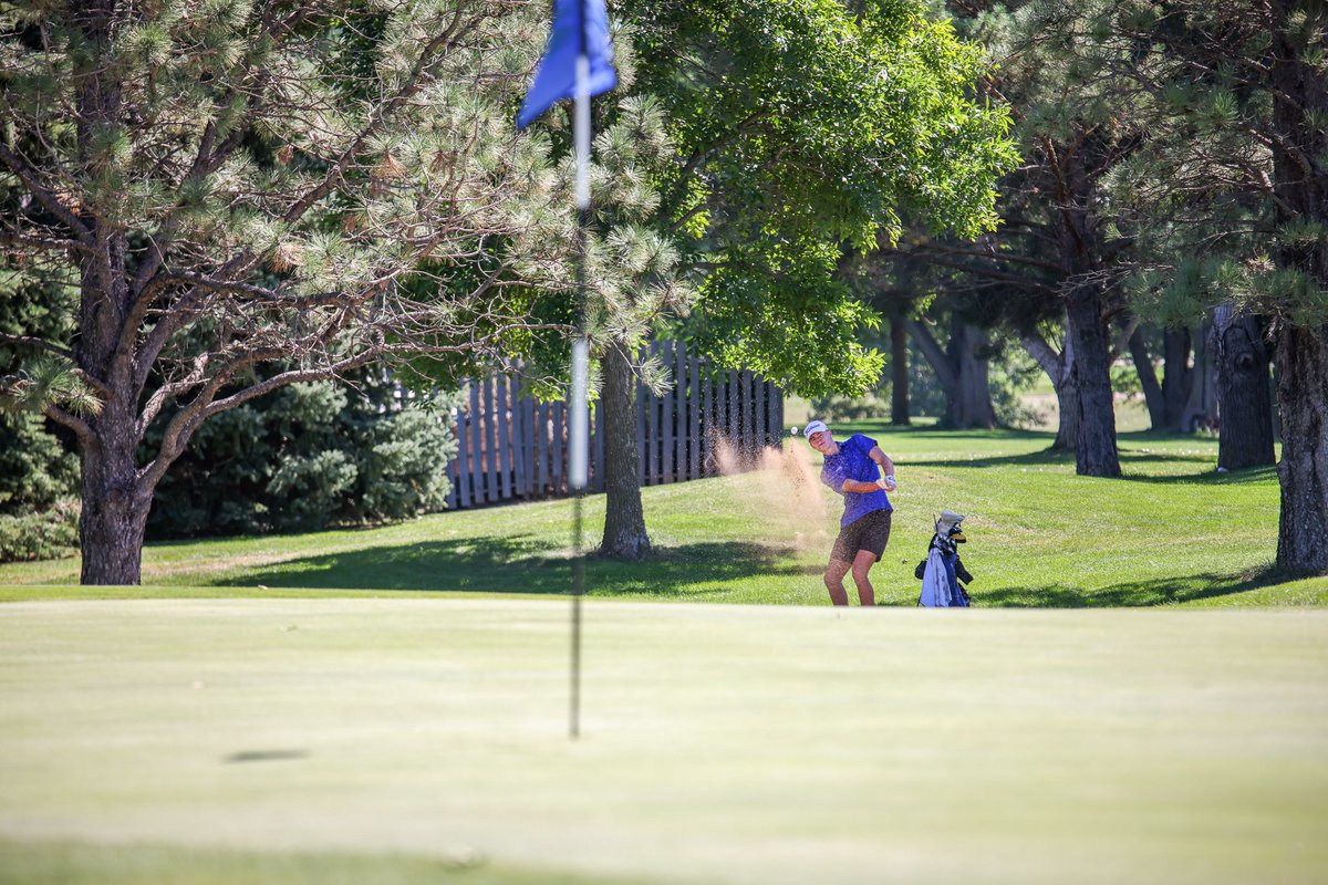 SFC GOLF tweet media